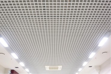 Rasterdecke